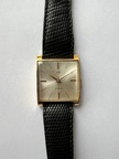 IMG 4190 (5556 visites) Année 1961
Mouvement AS 1538 (R138)
Référence 1102
Collection Cosmique de 1961 IMG 4190
